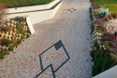 Allee-BR-motif-Anth