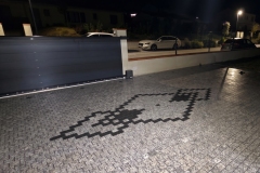 1000036286