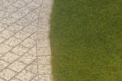 image00030